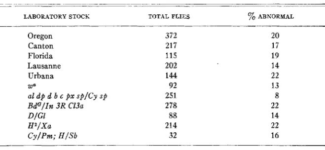 TABLE 4 