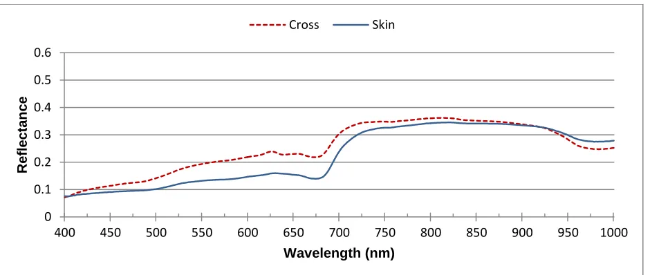 FIGURE 2: A difference between skin and cross sectional scanning 