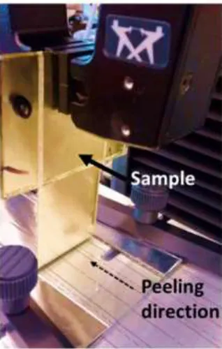 Figure 1.10 (a) Glass-PVB laminate subjected to a peel test. 