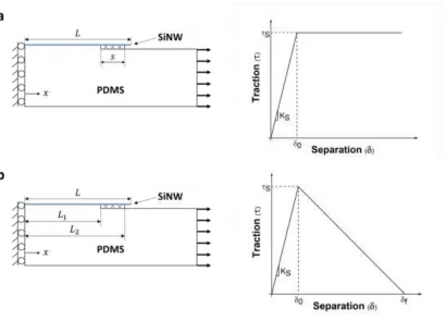 Figure 2.2 SiNW/PDMS COMPOSITE interfacial phases and traction-separation laws for (a) 
