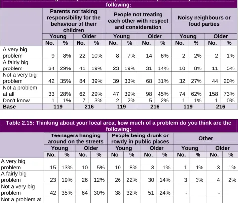 Table 2.15: Thinking about your local area, how much of a problem do you think are the  following: 
