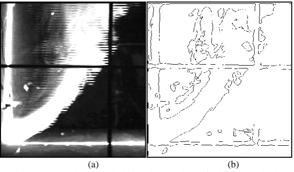 Fig. 1 (a) Non-isothermal air flow image, (b) Self-adapting method  As we can see, the proposed method gives satisfactory results (Fig
