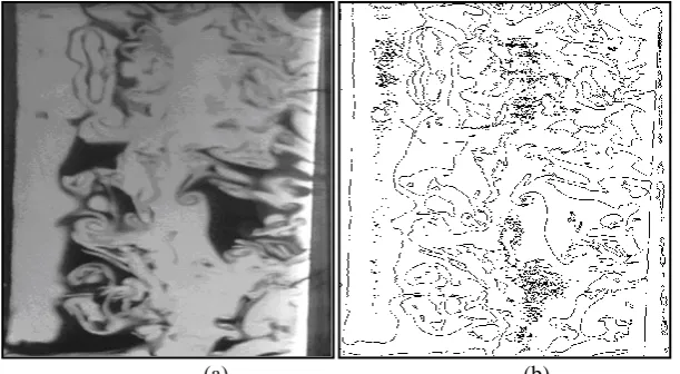 Fig. 3 (a) Non-isothermal air flow in mixed convection, (b) Self-adapting method  