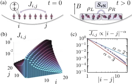FIG. 1.(a) Illustration of the quench experiment. We consider(b) A typical calculated experimental interaction matrix for 20ions (see text for further details and parameters)