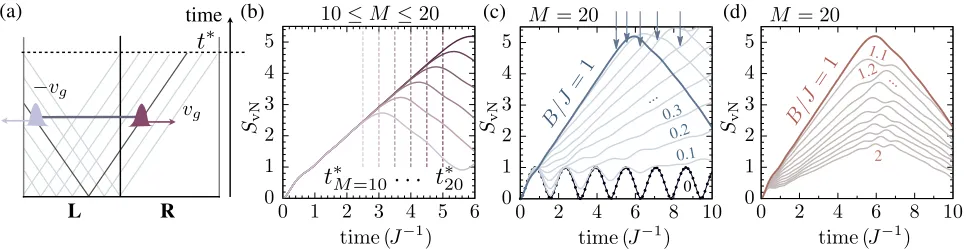 FIG. 2.Entanglement growth after a quantum quench in the transverse Ising model in which nearest-neighbor interactions areagain forlater times; critical times are indicated as vertical arrows