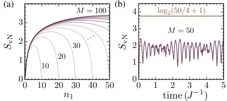 FIG. 4.(a) The half-chain entropy for single Dicke states as aour speciﬁc quench experiment for a chain of 50 spins