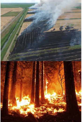 Figure 7. Flaming (bottom image) v. smoldering (top image) fire. Images obtained from Google