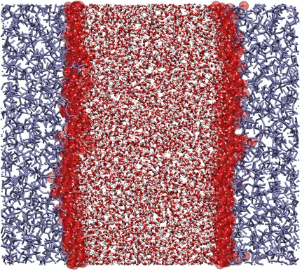 FIG. 2: Simulation snapshot of a H2O/CCl4 system. The oxygen atoms at the interface between the