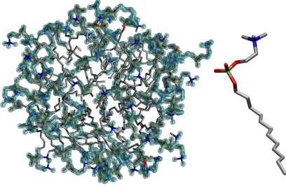 FIG. 6: Right: schematic structure of a DPC molecule. Left: snapshot of a DPC micelle in water.
