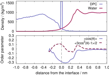 FIG. 7: Upper panel: intrinsic density proﬁles of water (right) and of DPC (left). Lower panel: