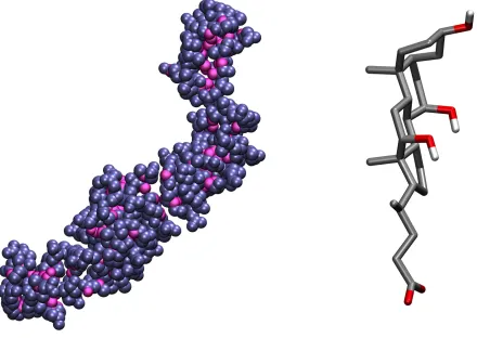 FIG. 10: Left: simulation snapshot of a secondary cholate micelle, with surface atoms highlighted.
