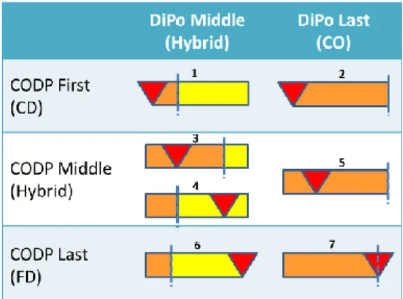 Figure 2: The relative positions of customer order decoupling point (CODP) and  discretization point (DiPo) in process industries (Wikner &amp; Noroozi, 2014) 