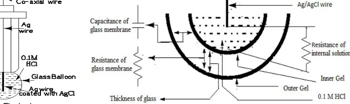 Fig 2: Intersection of glass electrode and equivalent electronic components. 