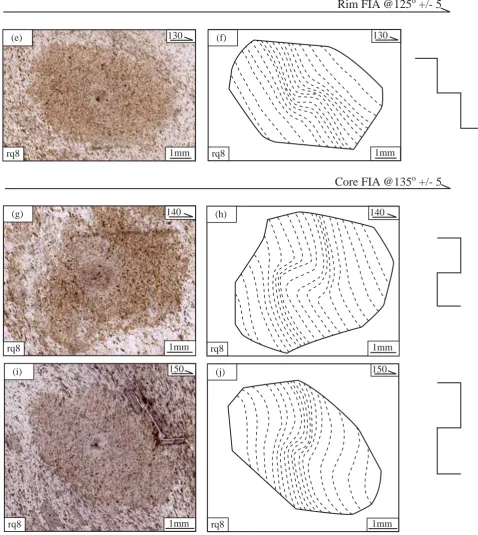 Figure 8: FIA measurement technique shown on pseudomorphs after cordierite for sample rq8