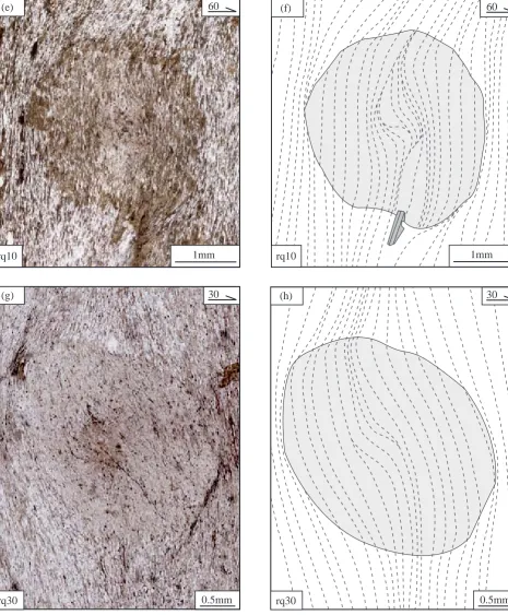 Figure 5: Photomicrographs and line diagrams showing examples of inclusion trails preserved within cordierite pseudomorphs