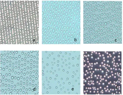 Figure 3. Light microscopy images of water condensation experiments on PA ((b) 10octadecyl-modi1)-modiﬁed glass surfaces: (a) 100 μM PA (1), 60 min printing time; μM, 60 min; (c) 1 μM, 60 min; (d) 500 nM, 60 min; (e) 100 nM, 60 min