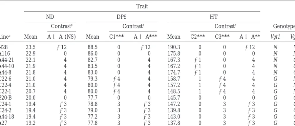 TABLE 4