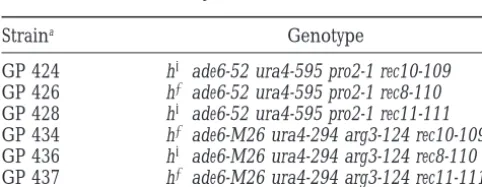 TABLE 1