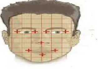 Fig 6: encrypt biometric image using SDS algorithm 