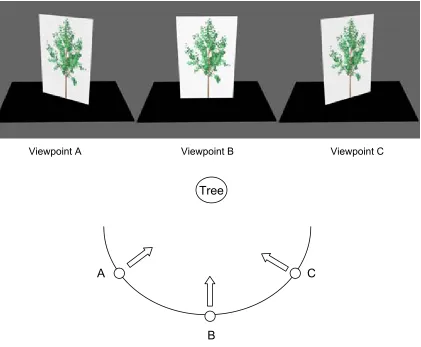 Figure 6 Rotation of the billboard as viewer moves around the object (tree) 