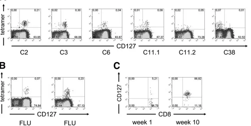 FIG. 1. (A and B) CD127 expression on CD8�gence of CD127 expression in acute infection