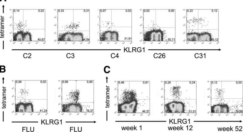 FIG. 3. Effect of activation on HCV-speciﬁc CD8�to stimulation was switched to a CD127Analyses of CD127 and CD38 expression on HCV-speciﬁc CD8 T cells