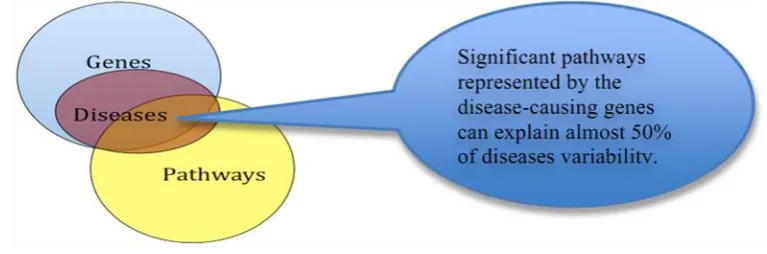 Fig 1. Model of Pathway Analysis  