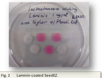 Fig. 2 Laminin-coated SeedEZ.