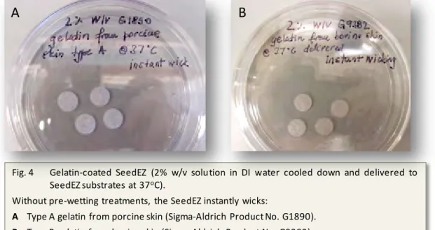 Fig. 4 Gelatin-coated SeedEZ (2% w/v solution in DI water cooled down and delivered to SeedEZ substrates at 37 o C).