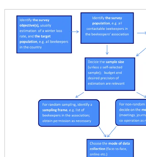 Fig. 1.  A basic flowchart of the key steps in carrying out a survey.