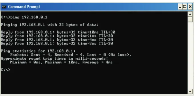 Figure 4.3 - Screen Shot of IP-Config Test 