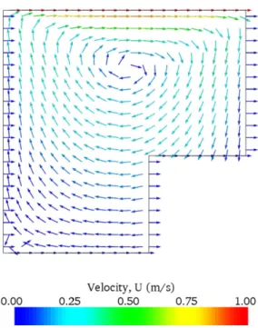 Figure 2.13: cavity solution velocity field mapped onto cavityClipped.