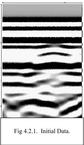 Fig 4.2.1.  Initial Data.  
