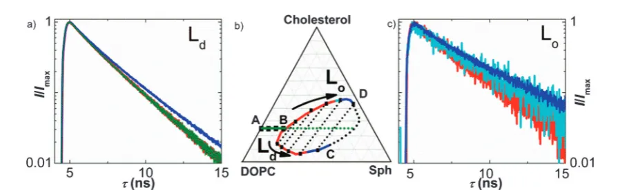 Fig. 6Time-resolved fluorescence decays of BODIPY recorded in DOPC–Sph–Chol GUVs of varying composition