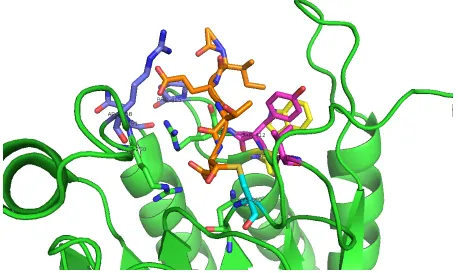 Figure 1.2: Structure of the caspase-8 active site. In IETD-CHO inhibitor is shownin orange