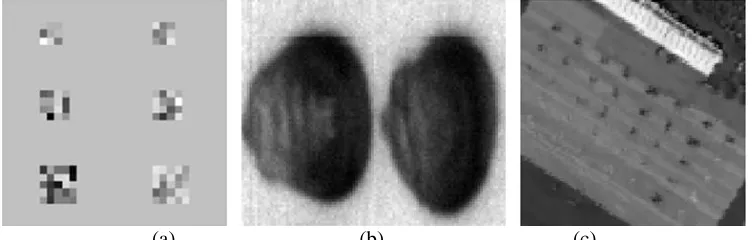 Fig. 4 Experimental dataset (band 60), (a) Imaging of simulated dataset, (b) Imaging of corn kernel (a)                                   (b)                                    (c) dataset, (c) Imaging of airport dataset  