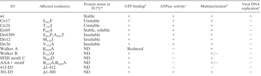 TABLE 2. Summary of genetic and biochemical properties of the D5 mutant proteins