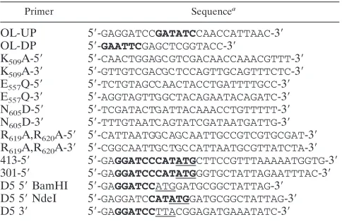 TABLE 1. Primers used in these studies