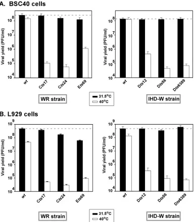 FIG. 2. The tsConﬂuent 35-mm dishes of BSC40 (A) or L929 (B) cells were infected with the WR (Dvirus was quantitated by titration on BSC40 cells at 31.5°C