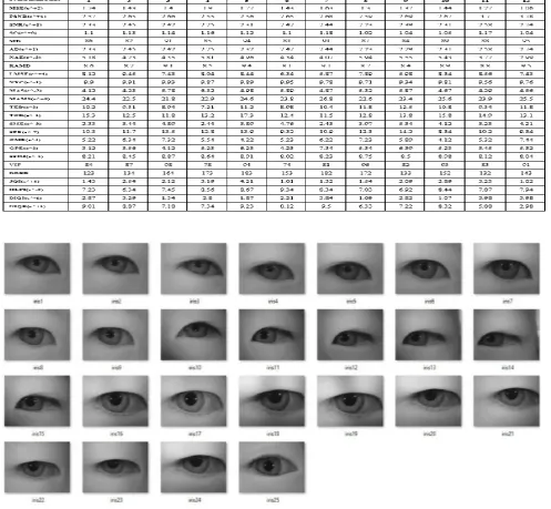 Figure 3. Fake Irish Images 