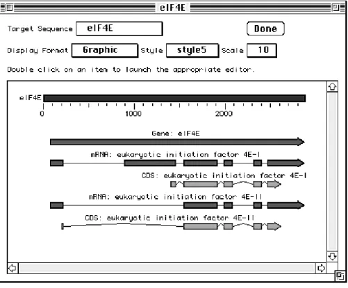 Figure 4.2. Sequin’s graphical format can show segmented sequence construction and feature intervals