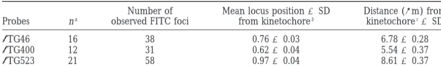TABLE 2