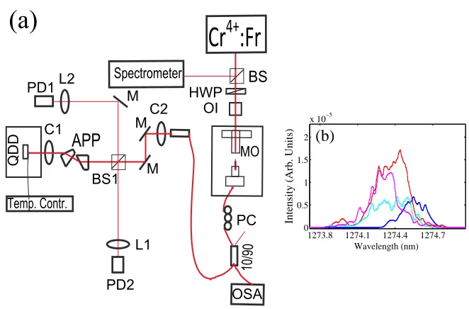 Fig. 12 a) Experimental setup: Chromium forsterite laser (Cr =+4 :Fr), beam splitter (BS, BS1), half-wave plate (HWP), optical isolator (OI), microscope objective (MO, 40× ), optical spectrum ana-lyzer (OSA), mirror (M), anamorphic prism pair (APP), aspher