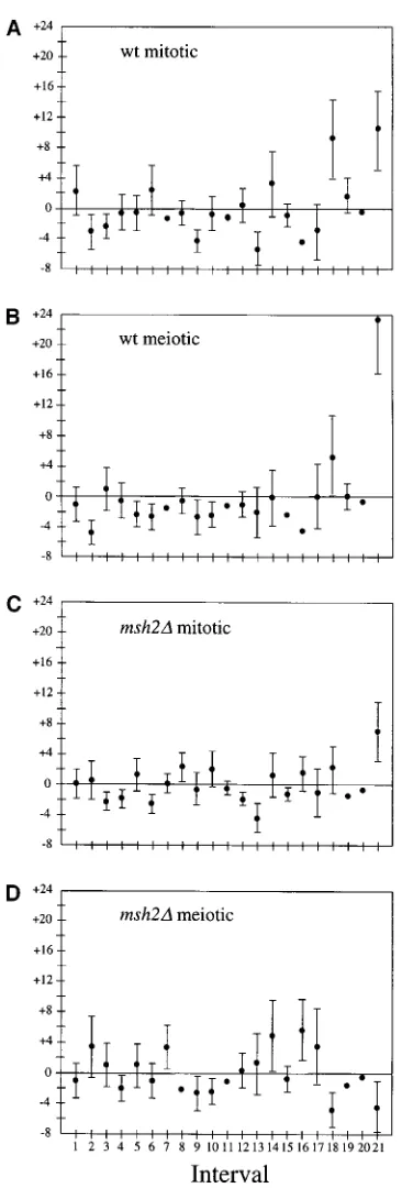 Figure 4.—Models of IR recombination. Inversion of a seg-ment of DNA between inverted repeats can occur by either(A) intrachromatid crossover or (B) sister chromatid geneconversion