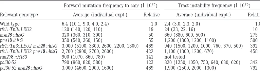 TABLE 2
