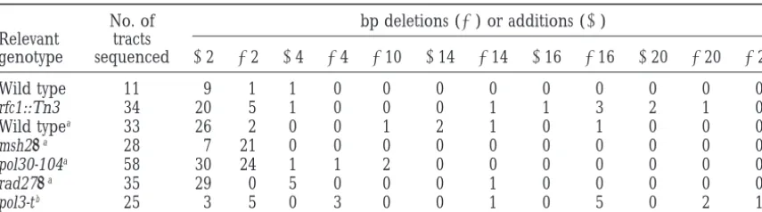 TABLE 4