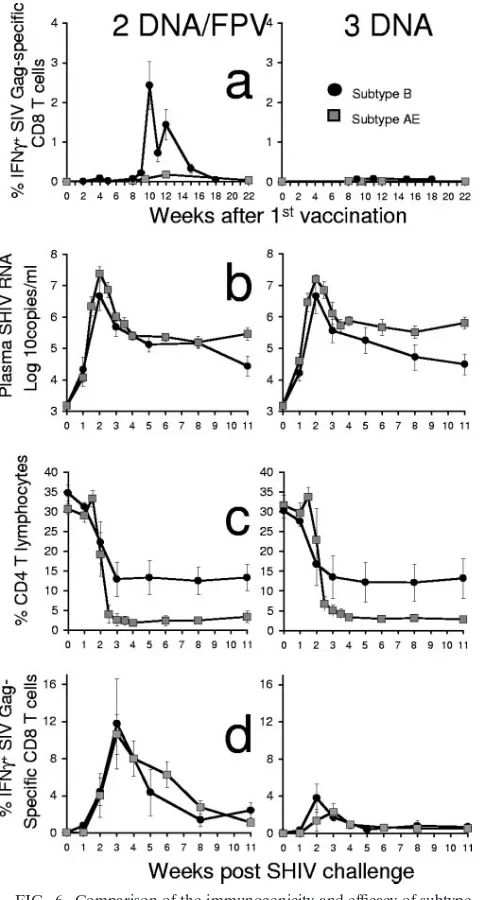 FIG. 6. Comparison of the immunogenicity and efﬁcacy of subtypeB (black circles) and subtype AE (gray squares) SHIV vaccination of