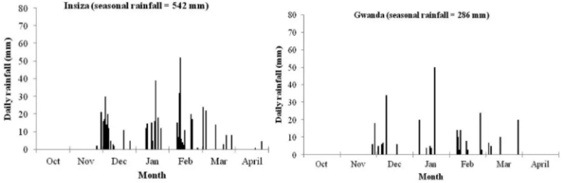 Figure 1. Daily rainfall recorded at some of the experimental sites in Insiza (NR 4) and Gwanda (NR 5) districts during the 2005/2006 cropping season.