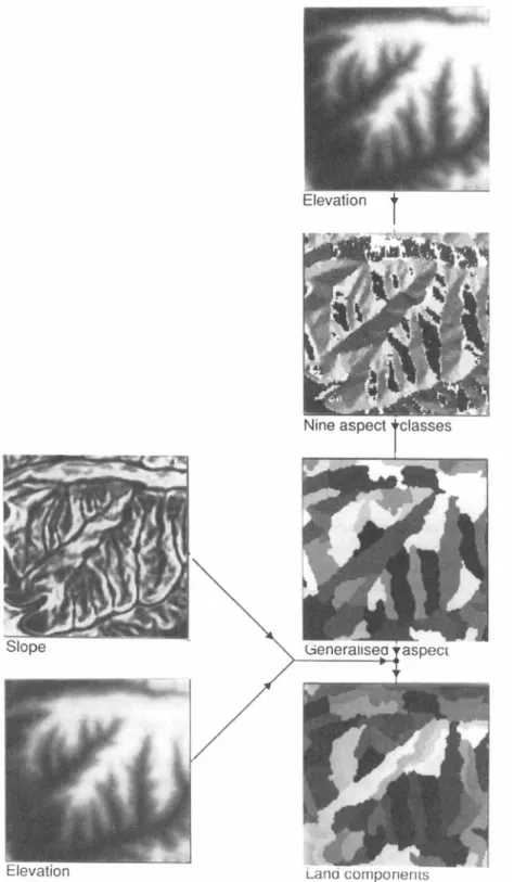 Figure  1. Data flow of algorithm  that produces land components from digital elevation data 