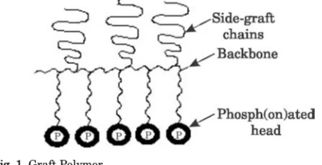 Fig. 1. Graft Polymer 
